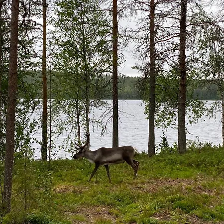 Charming In Rovaniemi Lapland By The * Nampa